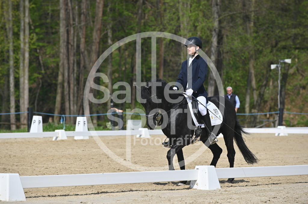 DSC_1150 | sattelsport - Realisiert mit Pictrs.com