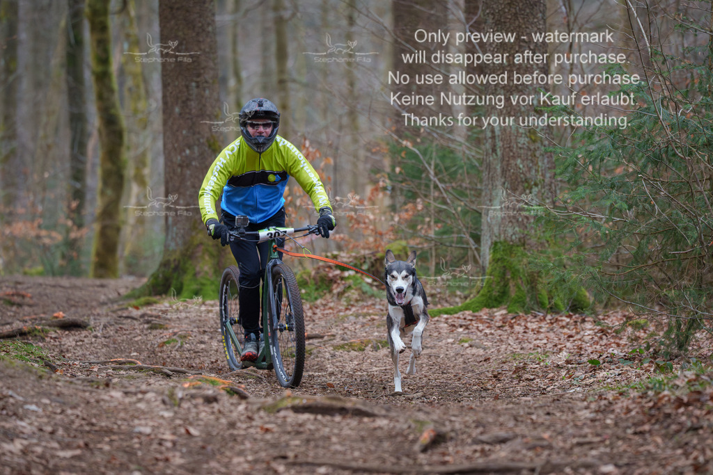 Scooter_So-56 | stephaniefillaphotographie - Realisiert mit Pictrs.com