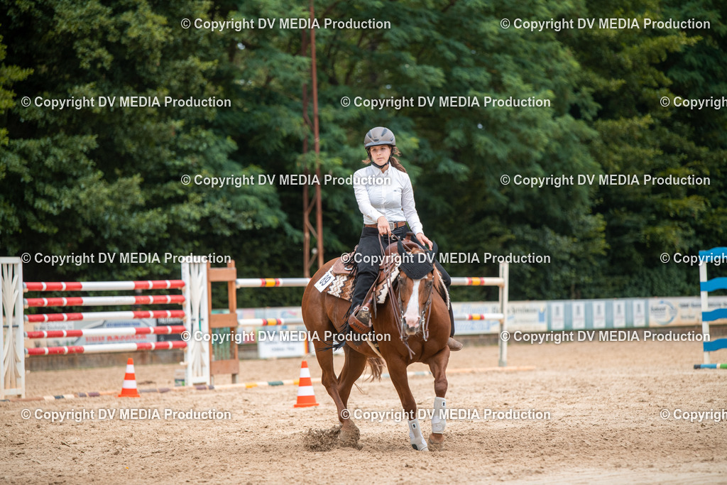 ZS2_8599 | dv-media-shop - Realisiert mit Pictrs.com