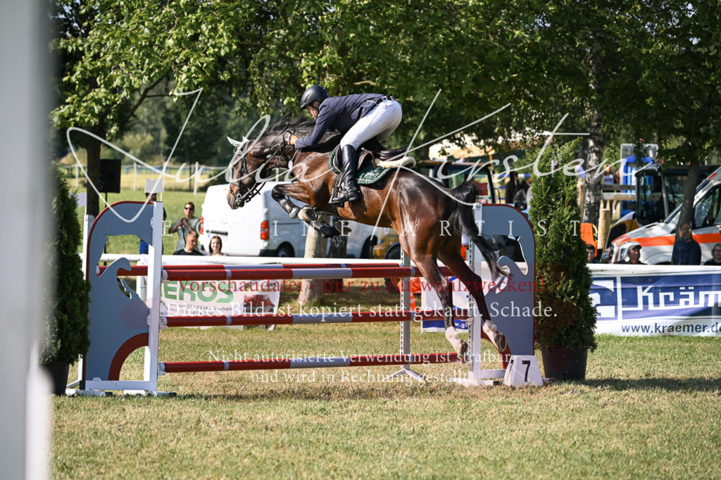 DSC_1415 | Pferde- und Turnierfotografie in Westsachsen. Pferdeportraits, Auftragszeichnungen und intuitive Kunst.