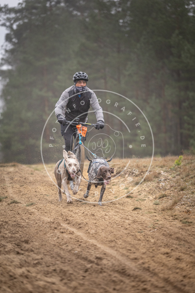 Pfotenfotografie_DV3A1095 | Hundefotografie, Tierfotograf, Pfotenfotografie, Fotoshooting Hund, Hunde Portrait, Hundesport, Hundeportraits, Heideshooting, Hunde, Sportfotograf, Hundefotograf, Turnierhundsport, THS,  - Realisiert mit Pictrs.com