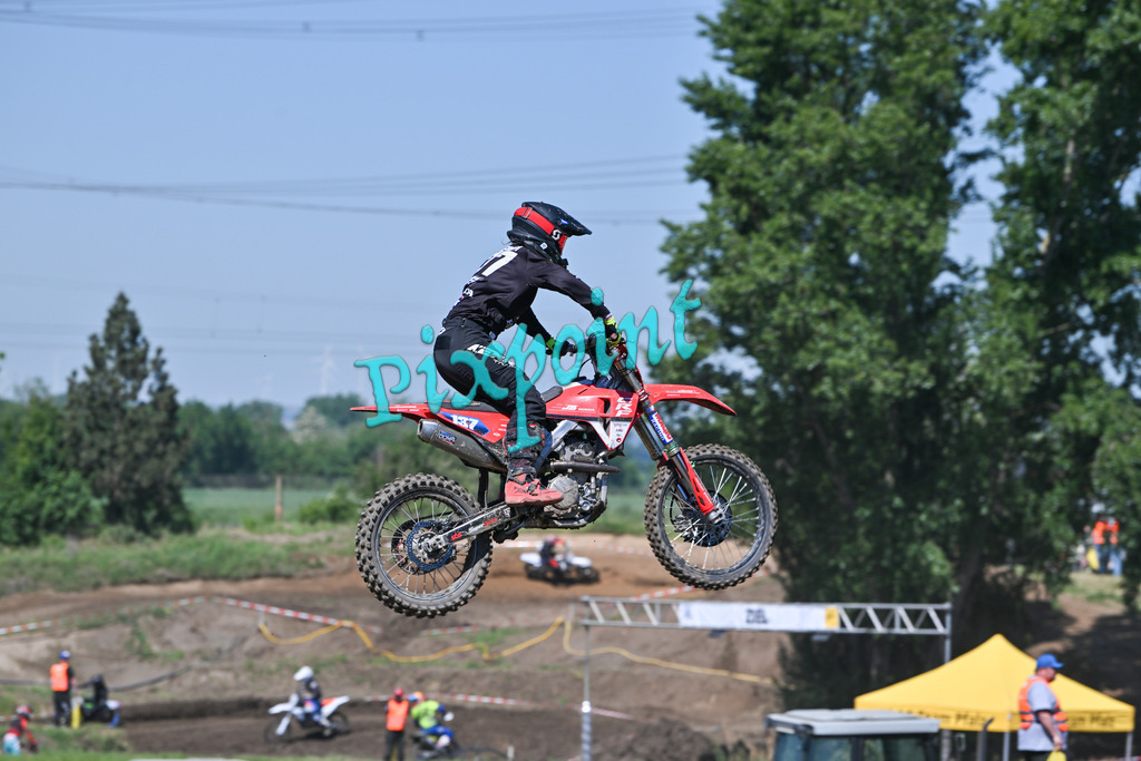 Südwestcup Frankenthal-19 | pixpoint - Realisiert mit Pictrs.com