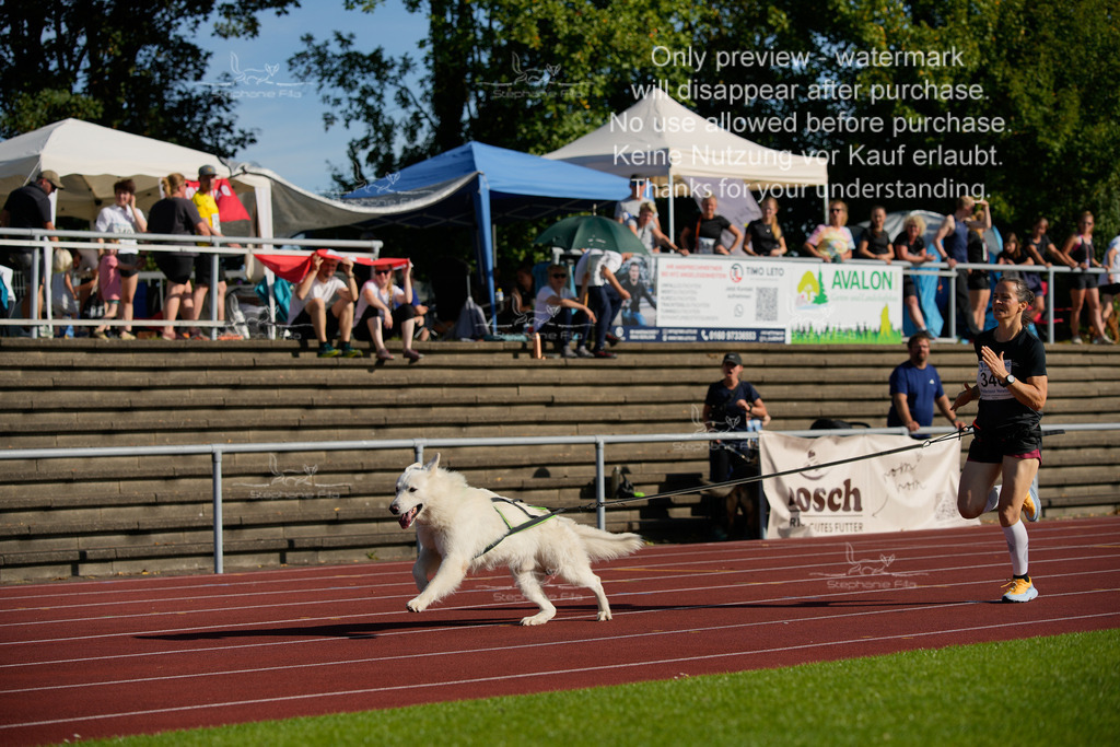 Sonntag_Staffel (115 von 336) | stephaniefillaphotographie - Realisiert mit Pictrs.com