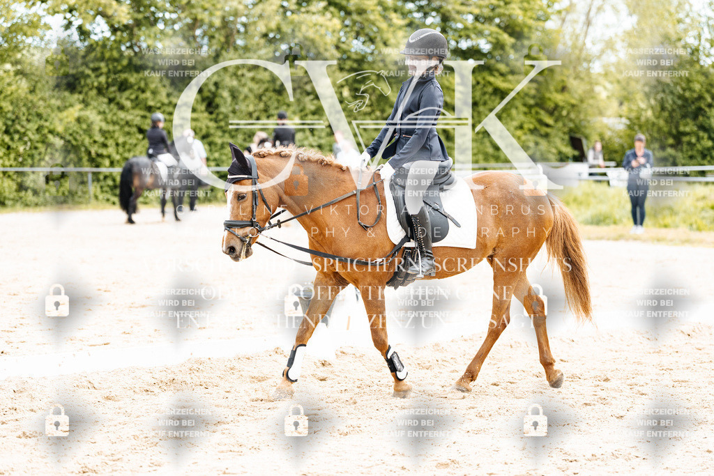 CK904541 | Turnierfotografie Pferdefotografie Trier Rheinland-Pfalz Pferdesport Reitsport Tierfotografie Sportfotografie Pferdevideo Pferdevideografie Equestrianvideography equestrianphotography  - Realisiert mit Pictrs.com