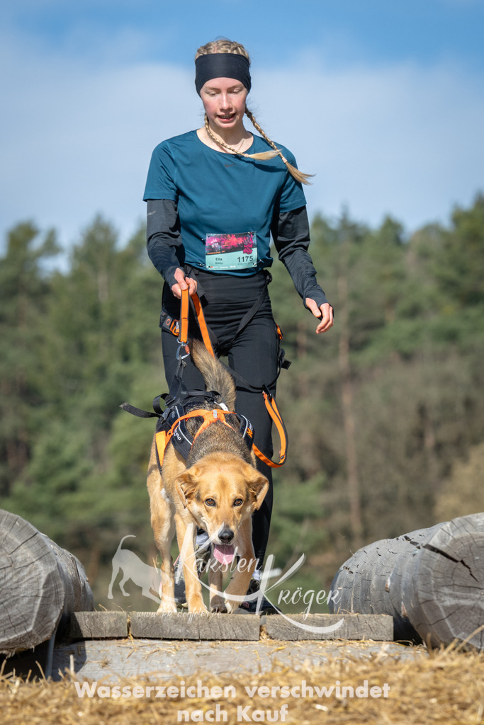 0948_ZZ96112 | kk-dogfotos