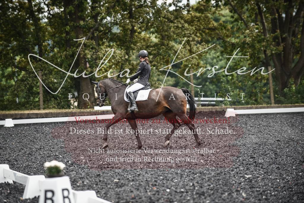 DSC_4667 | Pferde- und Turnierfotografie in Westsachsen. Pferdeportraits, Auftragszeichnungen und intuitive Kunst.