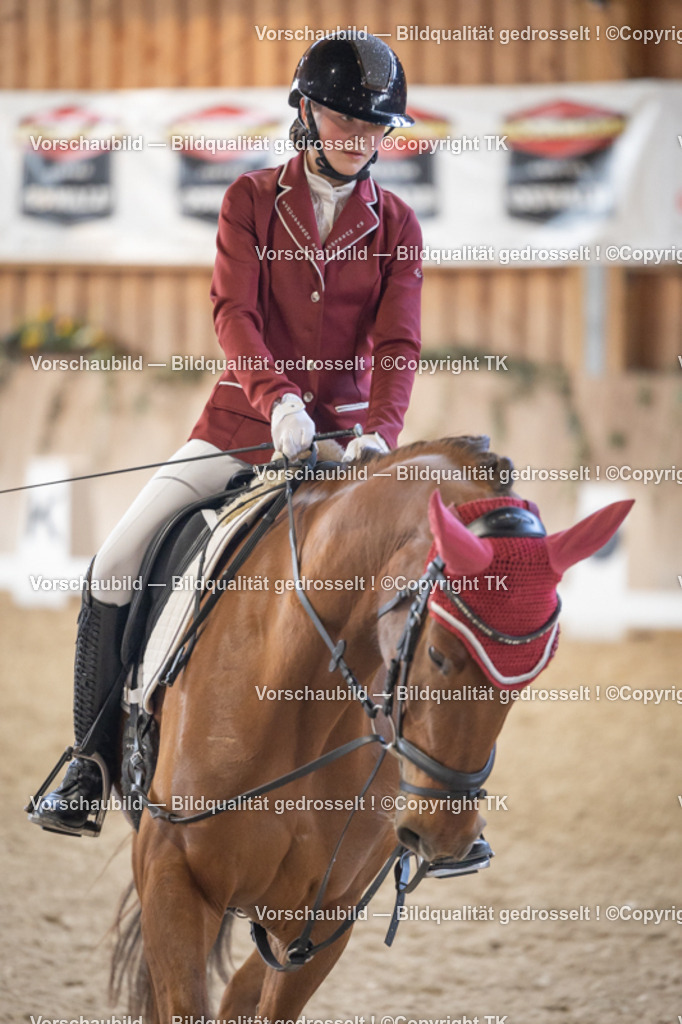 _D5A5527 | Emotionale Pferde- & People-Fotografie rund um Heidelberg, Leimen & Umgebung. Natürliche Fotos von Pferd, Mensch & Familie. Jetzt Termin sichern!