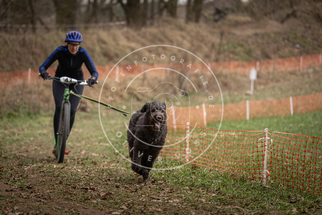 Pfotenfotografie_DV3A0644 | Hundefotografie, Tierfotograf, Pfotenfotografie, Fotoshooting Hund, Hunde Portrait, Hundesport, Hundeportraits, Heideshooting, Hunde, Sportfotograf, Hundefotograf, Turnierhundsport, THS,  - Realisiert mit Pictrs.com