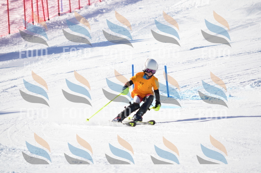 C6140 | holidayphoto