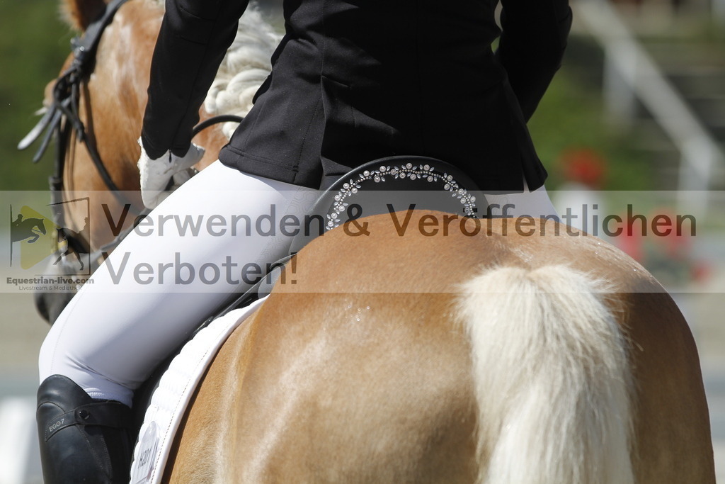 _MG_0627 | equestrian-live-com