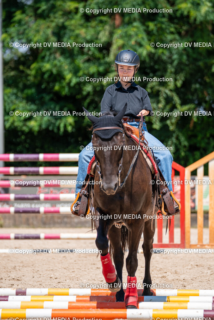 Zeiskam Tag 1-595 | dv-media-shop - Realisiert mit Pictrs.com