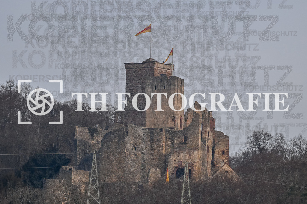 GER, FVLB - FC Bayern München, Fussball, PS-Immo-Cup 2026,U14 Feldturnier, 17.01.2026 | Burg Rötteln