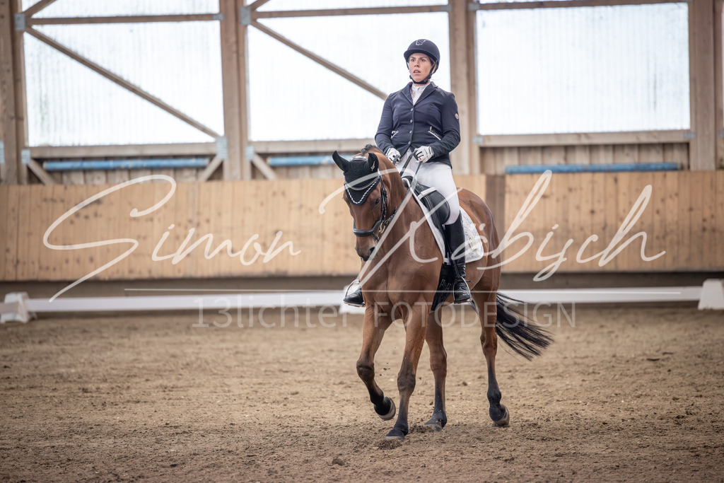 20251011-_3LI1563 | Tierfotografie Pferde, Hunde, Katzen, Haustiere.
Turnierfotografie Reitturniere, Reiten, Springreiten, Dressur in Hanau, dem Main-Kinzig-Kreis und dem Rhein-Main- Gebiet um Frankfurt