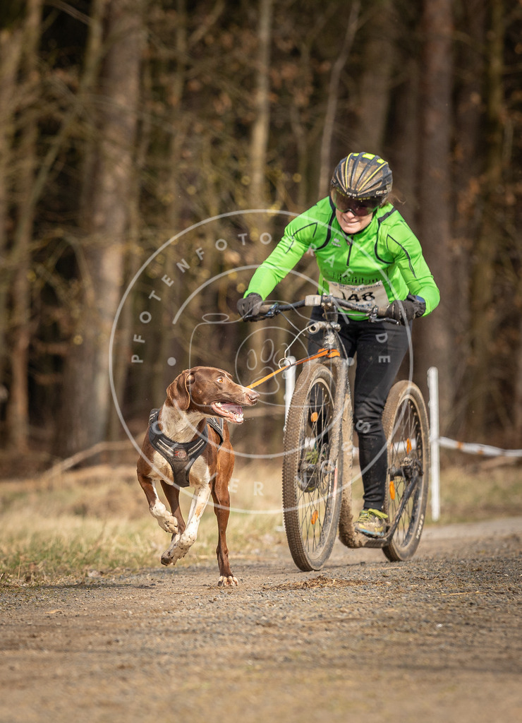 DV3A4784 | Hundefotografie, Tierfotograf, Pfotenfotografie, Fotoshooting Hund, Hunde Portrait, Hundesport, Hundeportraits, Heideshooting, Hunde, Sportfotograf, Hundefotograf, Turnierhundsport, THS,  - Realisiert mit Pictrs.com