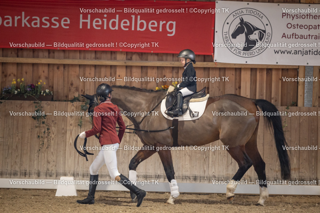 _D5A5275 | Emotionale Pferde- & People-Fotografie rund um Heidelberg, Leimen & Umgebung. Natürliche Fotos von Pferd, Mensch & Familie. Jetzt Termin sichern!