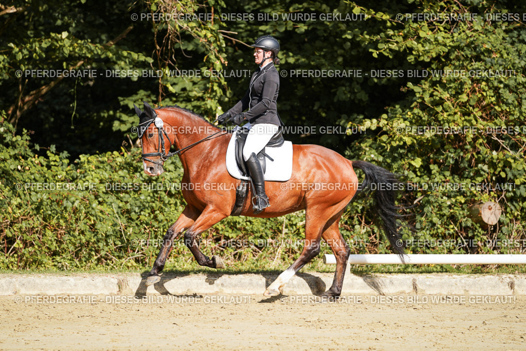 DSC08382 | Pferdegrafie