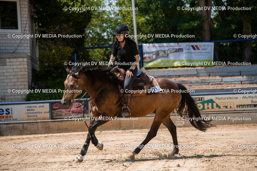 ZS3_9716 | dv-media-shop - Realisiert mit Pictrs.com