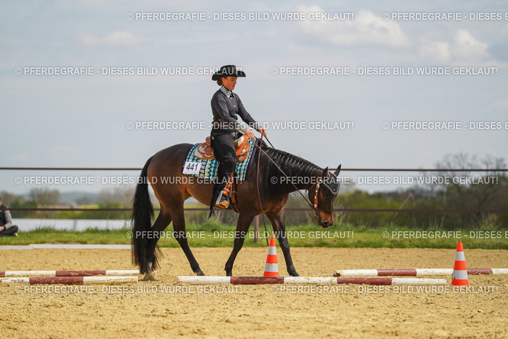 DSC05314 | Pferdegrafie