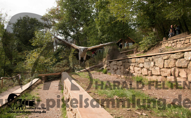 IMG_9801 | pixelsammlung - Realisiert mit Pictrs.com