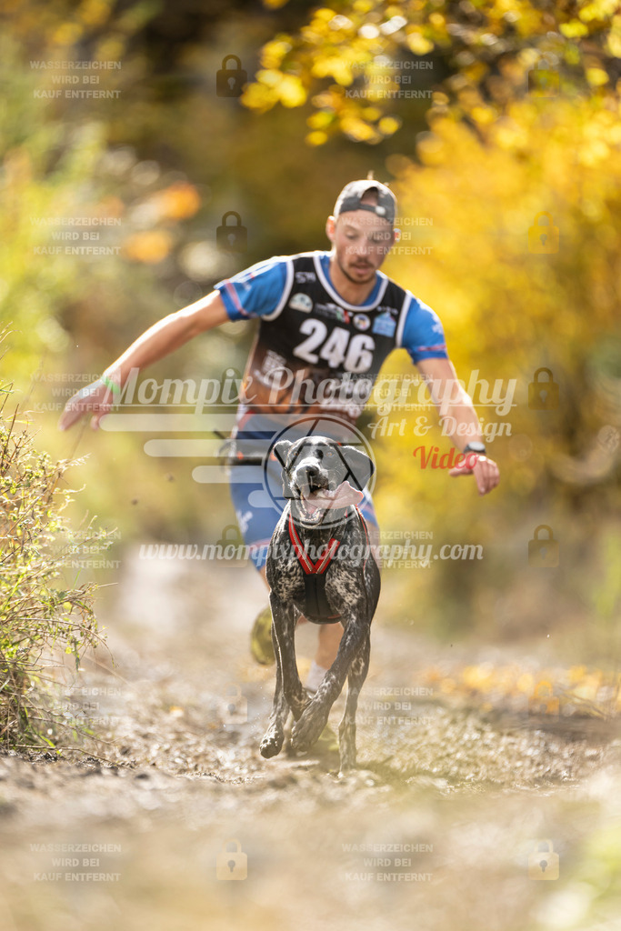 MompixPhotography_ICF_WC_2024_SA_Run_-32 | PayLife