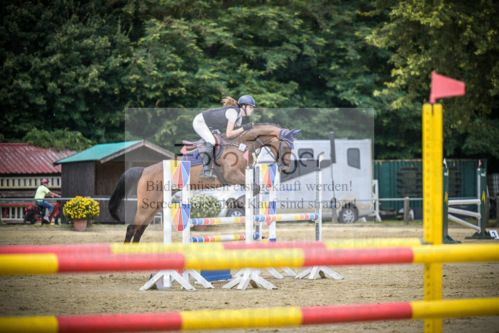 DOS_8513 | Entdecke hochwertige Reitturnierfotos von Foto Oger. Professionell, emotional und authentisch – jetzt Lieblingsmomente im Shop bestellen.Deutschlandweite Turnierfotografie. - Realisiert mit Pictrs.com