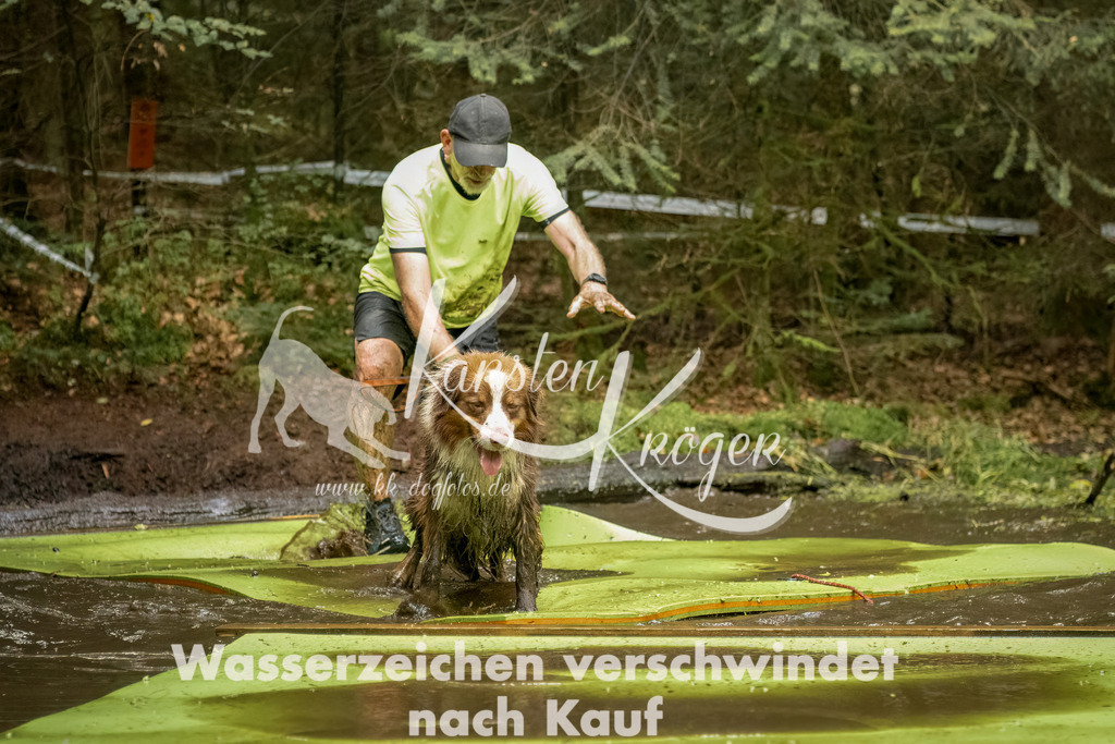 1230_ZZ90013-Bearbeitet | kk-dogfotos