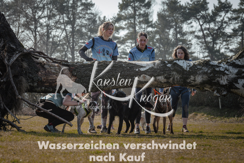 1109_ZZ94697 | kk-dogfotos