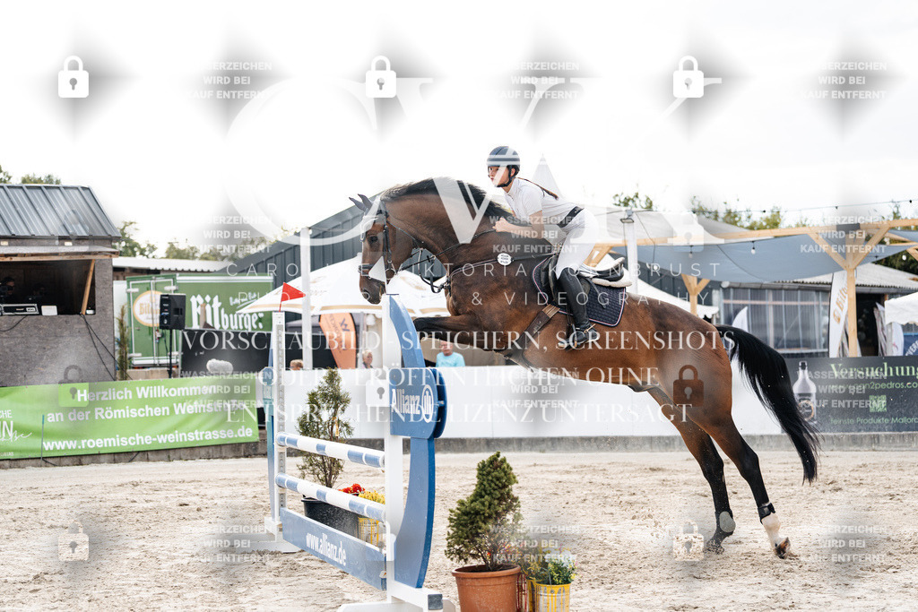 CK902475 | Turnierfotografie Pferdefotografie Trier Rheinland-Pfalz Pferdesport Reitsport Tierfotografie Sportfotografie Pferdevideo Pferdevideografie Equestrianvideography equestrianphotography  - Realisiert mit Pictrs.com