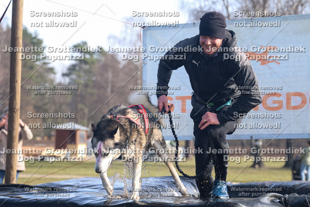 Dog Paparazzi - Strongdog North Mrz26-1081 | Dog Paparazzi Jeanette Grottendiek Fotografie & Videografie - Realisiert mit Pictrs.com
