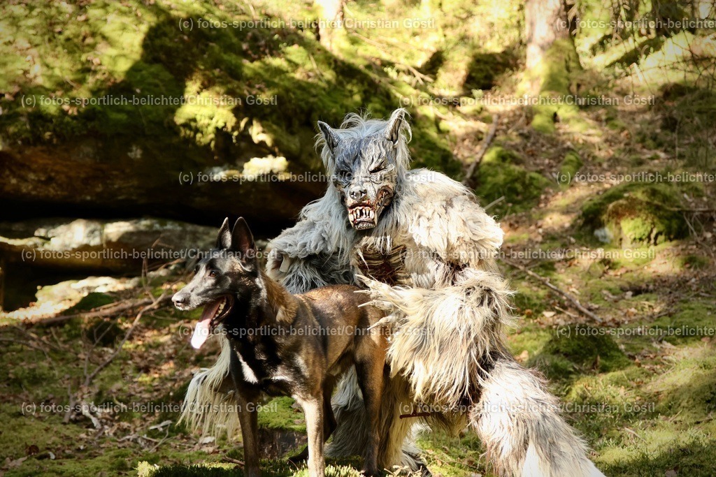 IMG_4800 | fotos-sportlich-belichtet - Realisiert mit Pictrs.com