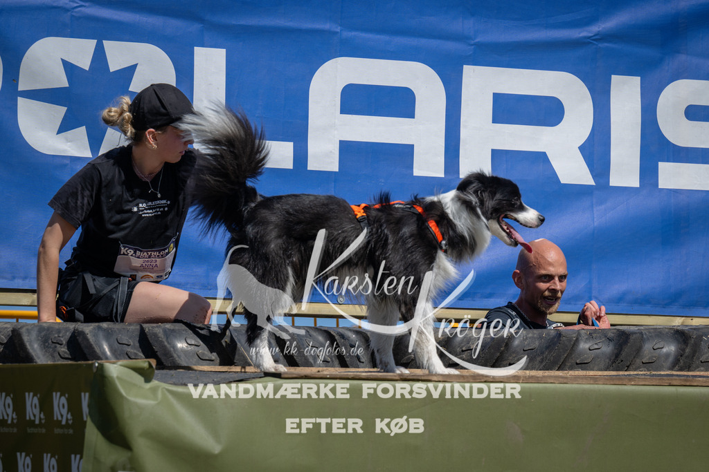 1251_ZZ96965 | kk-dogfotos