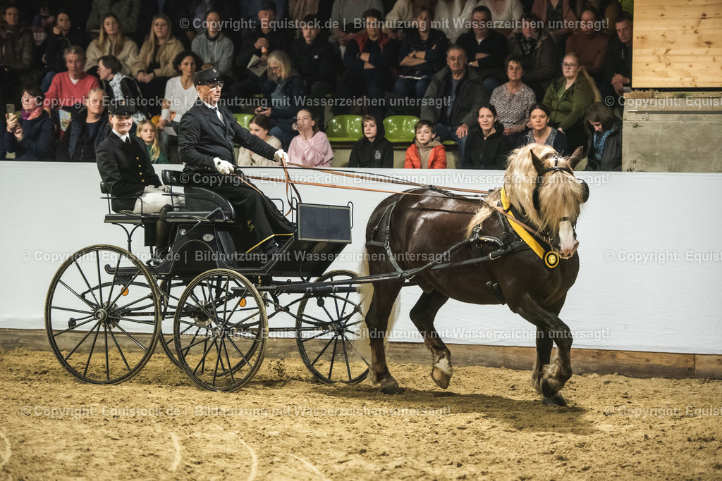 20240302_Hengstvorstellung_Marbach_TOMsPiC_0643 | equistock