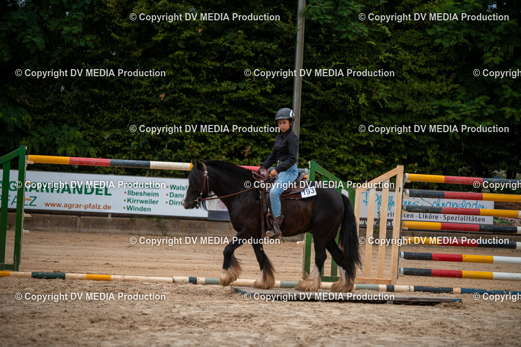 ZS2_8041 | dv-media-shop - Realisiert mit Pictrs.com