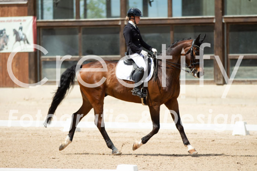 IMG_5828 | Creatify Fotografie