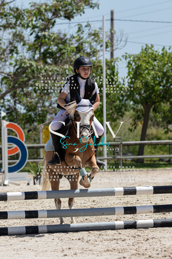 IMG_0319 | s-jay-photography - Realisiert mit Pictrs.com