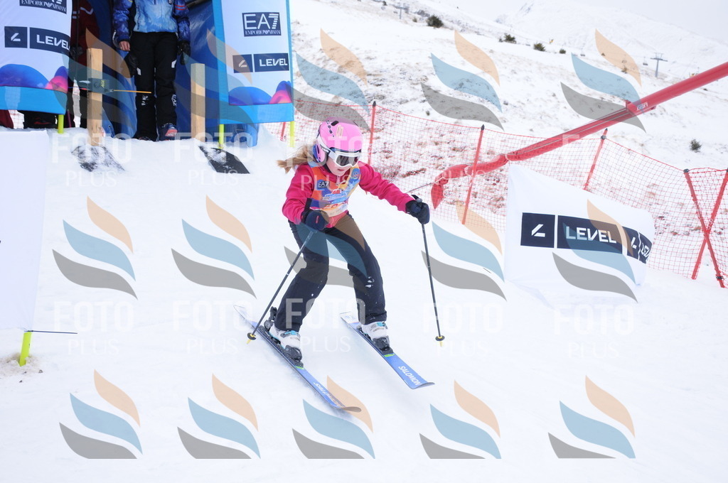 DSC_7981 | holidayphoto