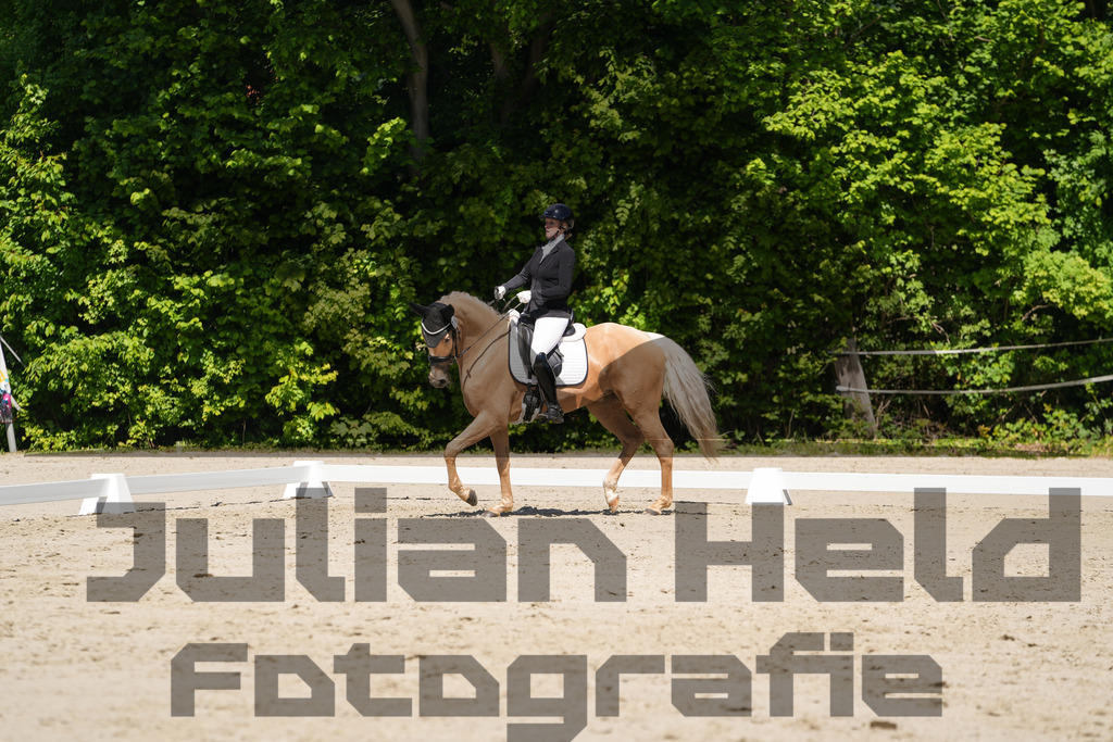 DSC00230 | Julian Held Fotografie - Realisiert mit Pictrs.com