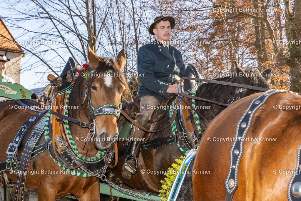 LBT25-1145 | foto-bettina-krinner - Realisiert mit Pictrs.com