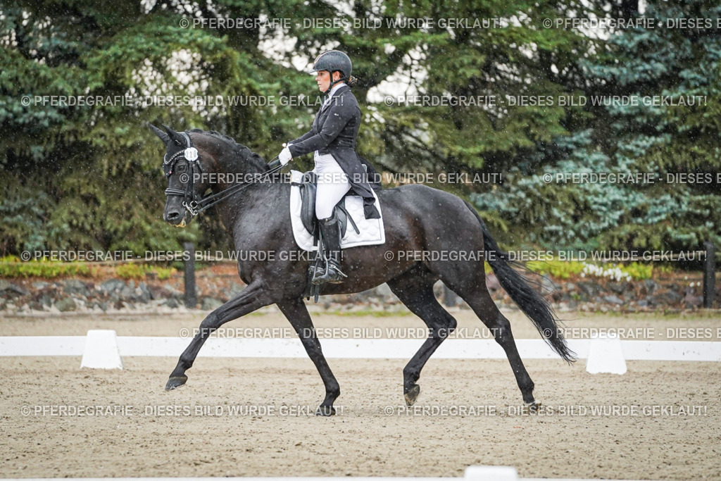 DSC08294 | Pferdegrafie