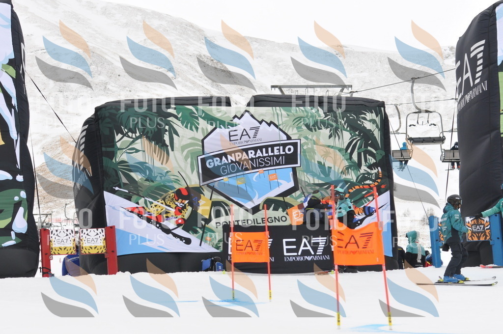 DSC_8729 | holidayphoto