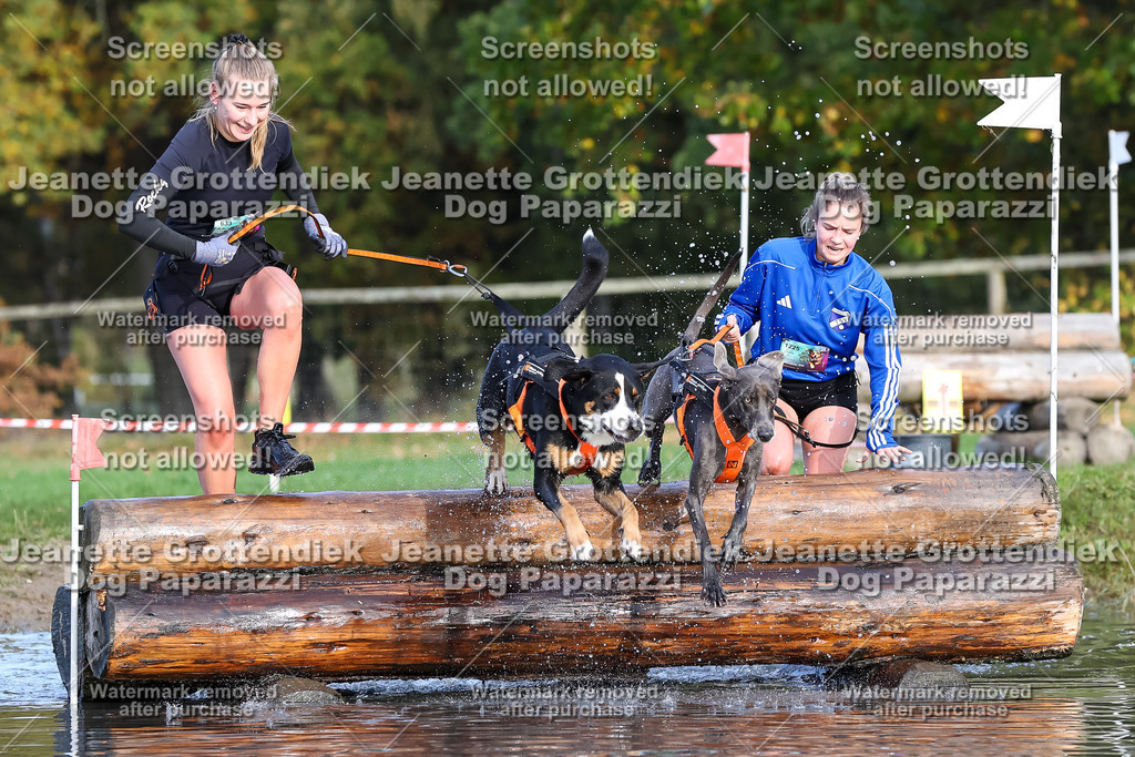 Dog Paparazzi - Strongdog 10-25-8324 | Dog Paparazzi Jeanette Grottendiek Fotografie & Videografie - Realisiert mit Pictrs.com