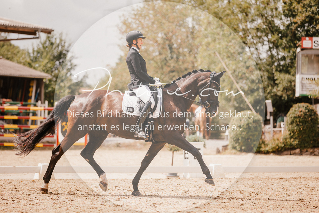 3I6A6286 | Stimmungsvolle Portraits und Reitsportfotografie im Ruhrgebiet und im Münsterland.

Pferdefotografie, Hundefotografie, Tierfotografie, Reportagen, Portraits von Tier und Mensch, Turnierfotografie in Bochum, Recklinghausen, Marl, Haltern am See, Dülmen.. - Realisiert mit Pictrs.com