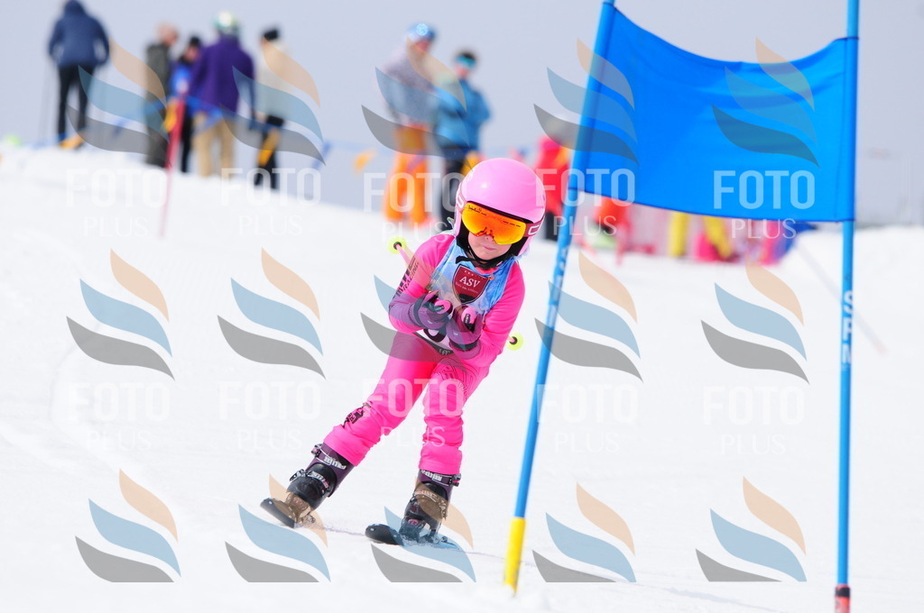 A3813 | holidayphoto