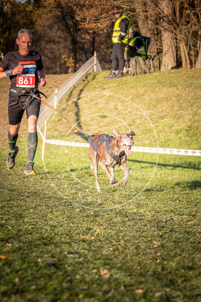 CaniXpix_0L8A0948 | Hundefotografie, Tierfotograf, Pfotenfotografie, Fotoshooting Hund, Hunde Portrait, Hundesport, Hundeportraits, Heideshooting, Hunde, Sportfotograf, Hundefotograf, Turnierhundsport, THS,  - Realisiert mit Pictrs.com