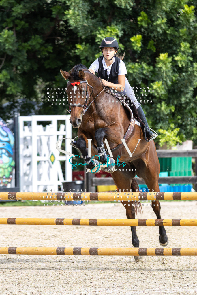 IMG_2920 | s-jay-photography - Realisiert mit Pictrs.com