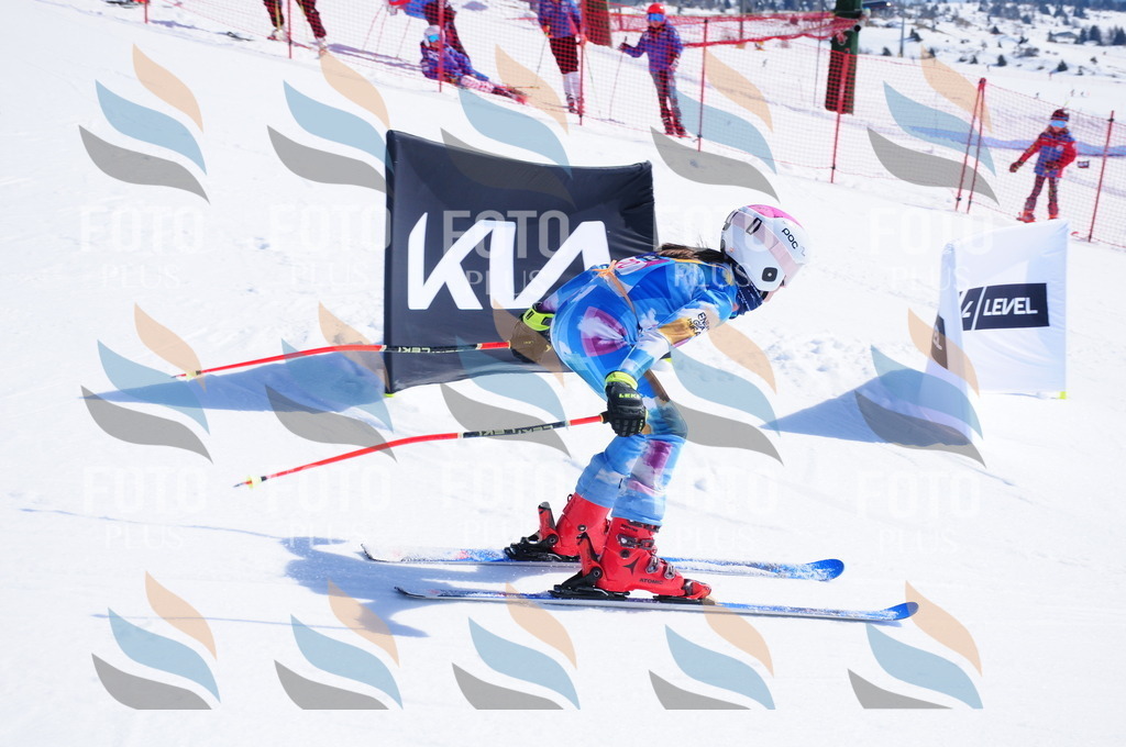 DSC_4421 | holidayphoto