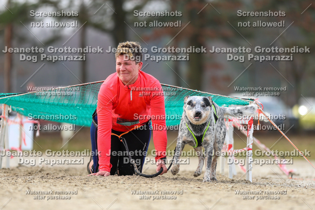 Dog Paparazzi - Strongdog North Mrz26-4684 | Dog Paparazzi Jeanette Grottendiek Fotografie & Videografie - Realisiert mit Pictrs.com