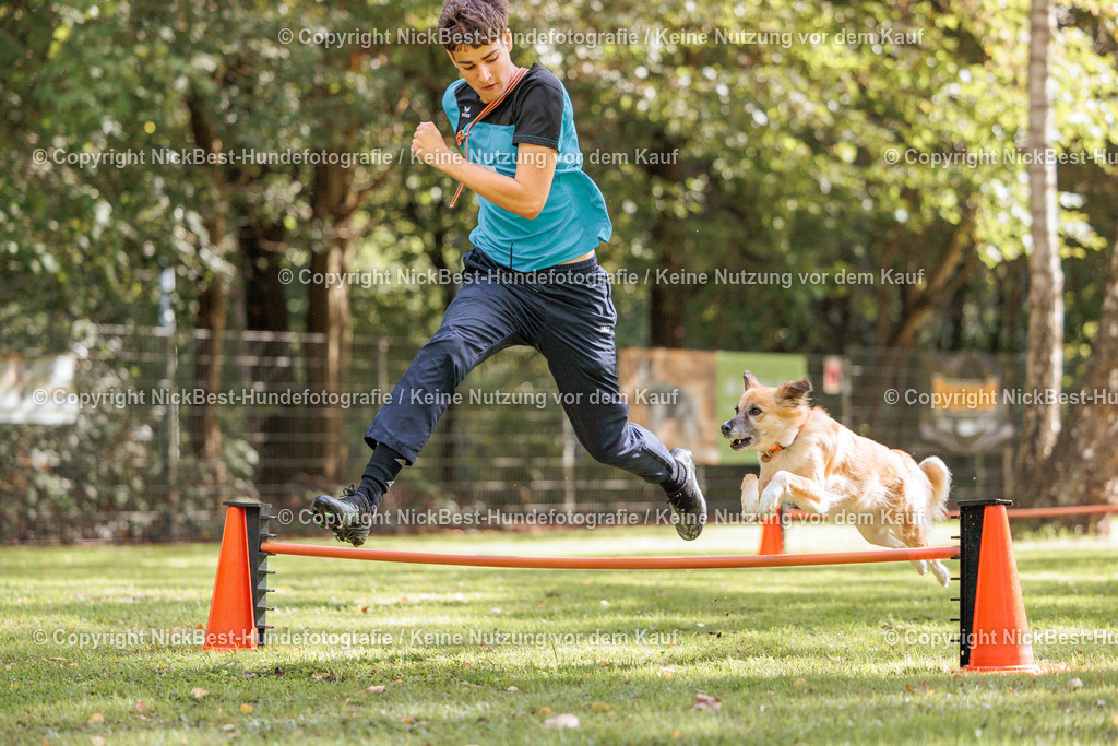 THS-HSV-Blumenthal-2026-Nickbest-Hundefotografie-3589 | Dein Hund! Dein Moment! Deine Erinnerungen! Hundefotografie in Bremen Blumenthal. Ich fange die besonderen Momente deines Vierbeiners ein – ob Indoor mit Blitzanlage oder in der freien Natur. Sicher dir dein Moment und dein Termin für eure Erinnerungen.