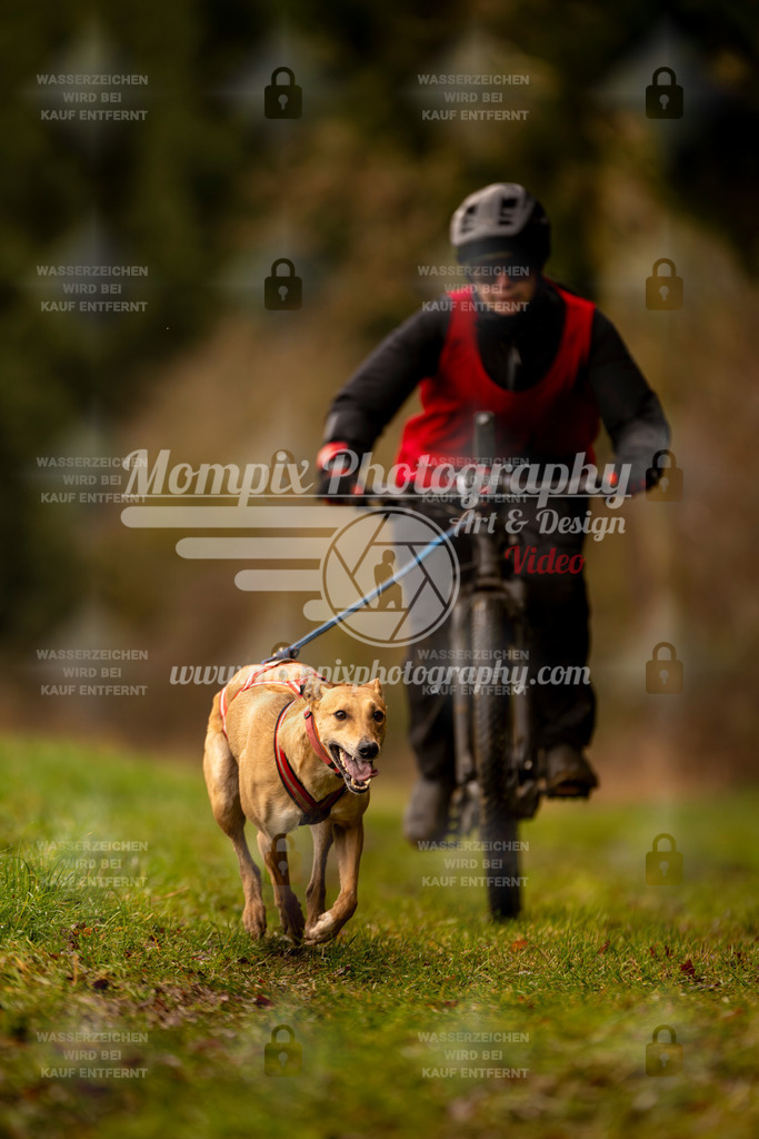 MompixPhotography_2SSTSSBW_2025_SO_Bike-93 | PayLife