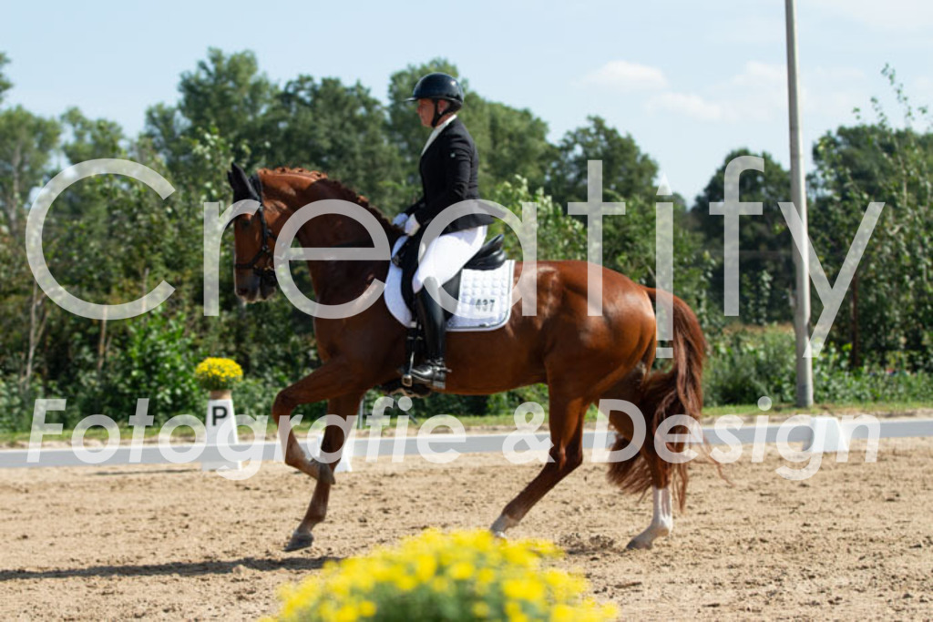 IMG_2636 | Creatify Fotografie